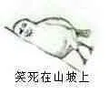 笑死在山坡上