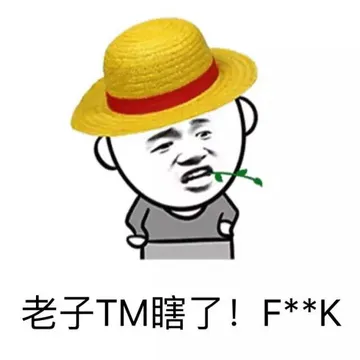 老子TM瞎了！F**K
