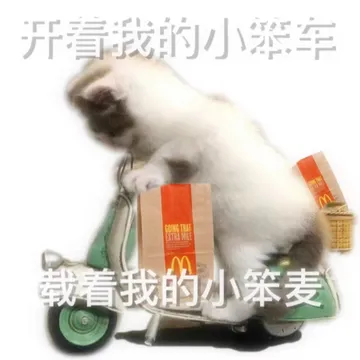 开看我的小墨车GOING THATEXTRA MILE载着我的小笨麦