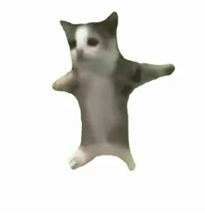 happy猫表情包
