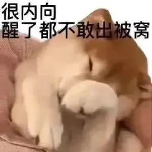 很内向醒了都不敢出被窝