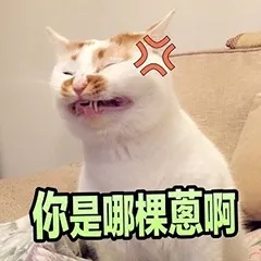 你是哪裸蒽啊