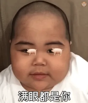 满眼都是你 猪头（印尼小胖 TATAN）