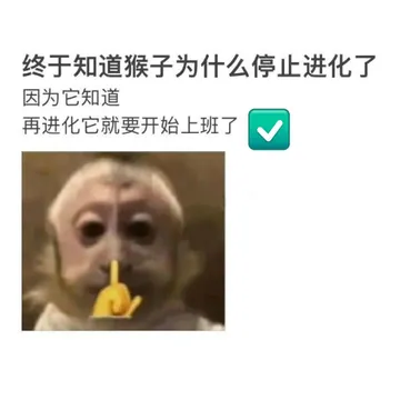 终于知道猴子为什么停止进化了因为它知道再进化它就要开始上班了