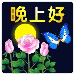 晚上好
