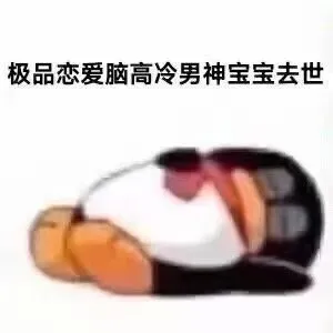 极品恋爱脑高冷男神宝宝去世