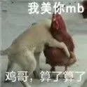 我美你mb.鸡哥算了了
