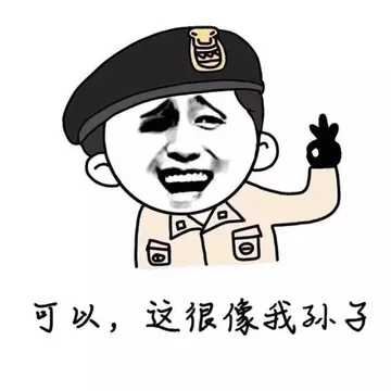 可以，这很像我孙子