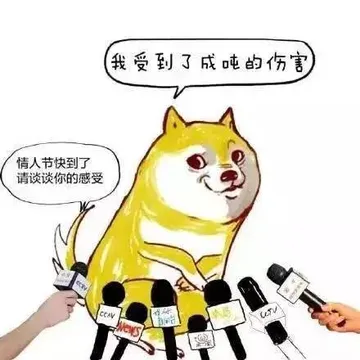 情人节 memes