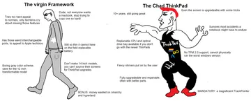 Virgin Framework Vs Chad ThinkPad