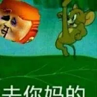 我的世界+反迷你