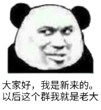 大家好，我是新来的。以后这个群我就是老大（熊猫人教皇）