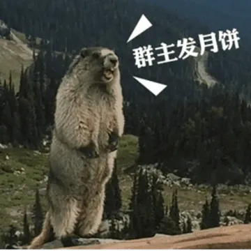 群主发月饼
