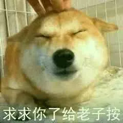 柴犬斗图表情包