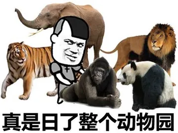 真是日了整个动物园