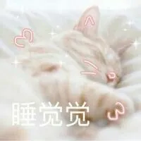 睡觉觉