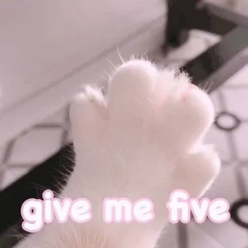 是喵星人啦00096-GiveMeFive-给我5毛钱猫