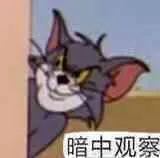 暗中观察（猫）