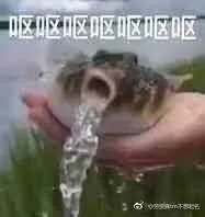 呕呕呕呕呕呕呕不想