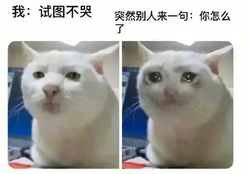 我：试图不哭