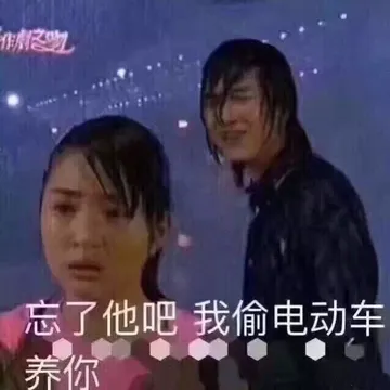忘了他吧，我偷电动车养你。