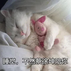 睡觉.不然蔡徐坤陪你