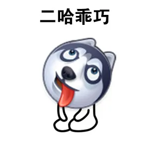 二哈乖巧