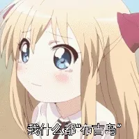 我什么都布吉岛不知道