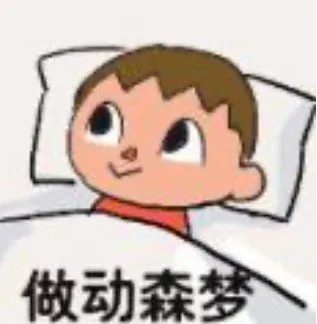 做动森梦