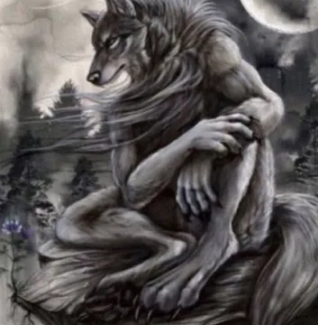 Alpha wolf