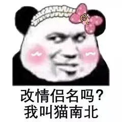 改情侣名吗?我叫猫南北