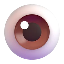 眼睛