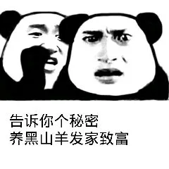 告诉你个秘密.养黑山羊发家致富