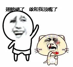 翅膀硬了，敢和我顶嘴了