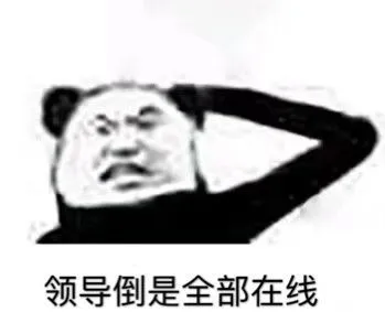 领导倒是全部在线