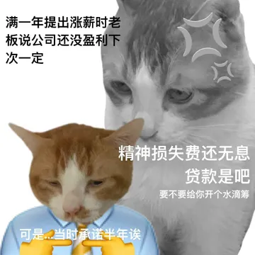 满一年提出涨薪时老板说公司还没盈利下次一定精神损失费还无息贷款是吧要不要给你开个水滴筹可是当时承诺半年诶