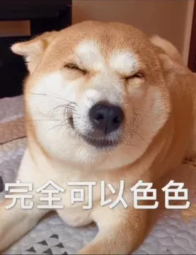 不可以色色表情包-可以色色（柴犬）