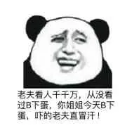老夫看人千千万，从没看过B下蛋，你姐姐今天B下蛋，吓的老夫直冒汗！