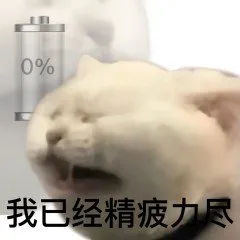 0%我已经精疲力尽
