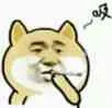 小黄狗吸烟(柴犬)