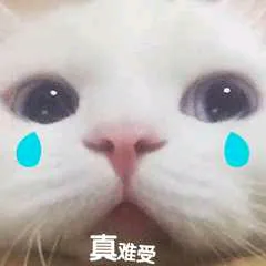 真难受