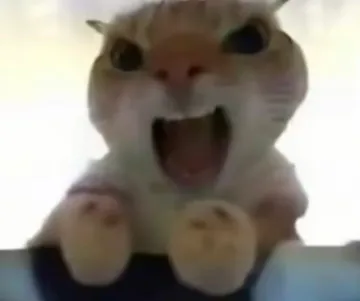 和平地铁猫猫鼠鼠表情包