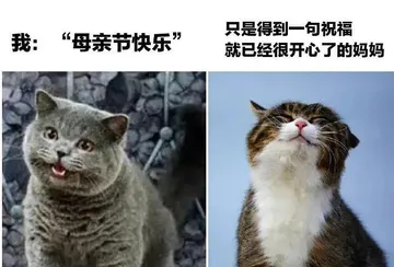 只是得到一句祝福我:“母亲节快乐”就已经很开心了的妈妈