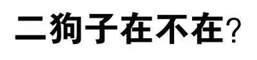 二狗子在不在？
