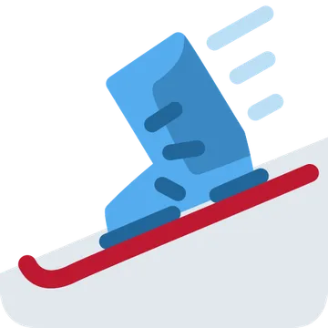 Skis