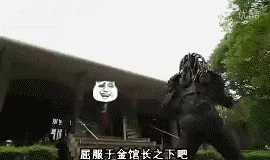 红色熊猫头天使打怪兽：屈服于金馆长之下吧