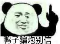 鸭子骗炮别