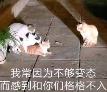 我常因为不够变态.而感到和你们格格不入