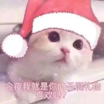 今夜我就是你的圣诞礼物喜欢吗？