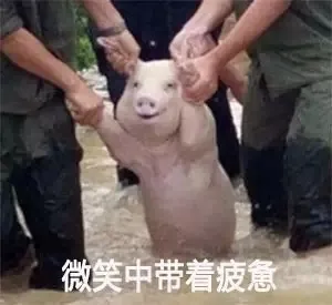 你：我不要面子的啊？